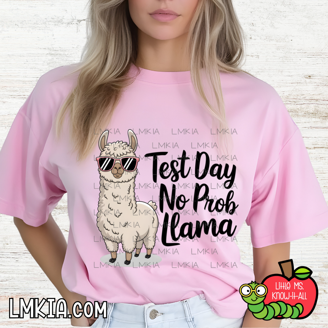 Test Day, No Prob Llama Youth T-Shirt