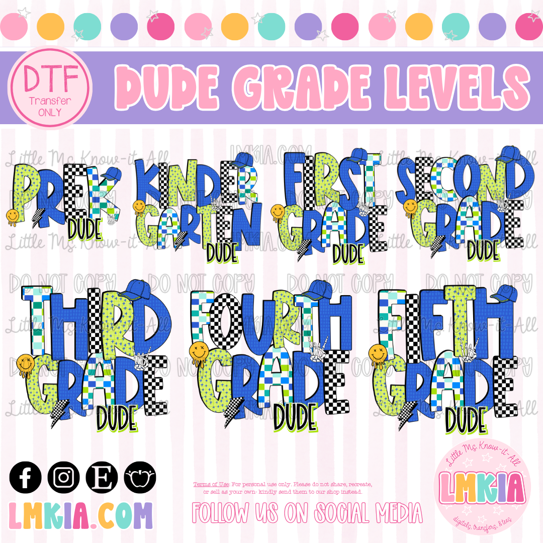Dude Grade Levels DTF Transfer