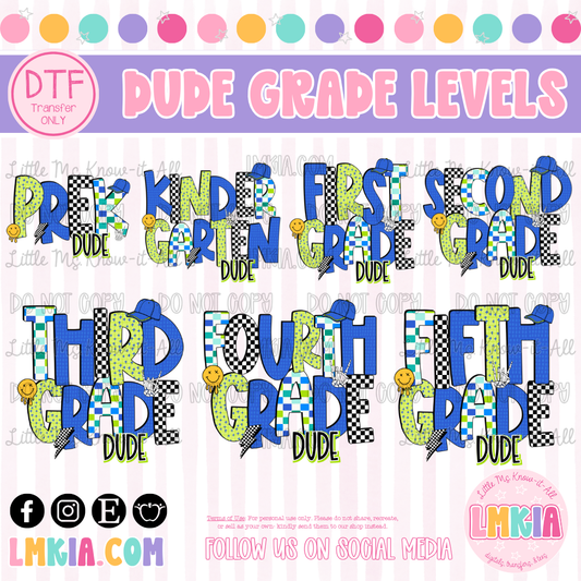 Dude Grade Levels DTF Transfer