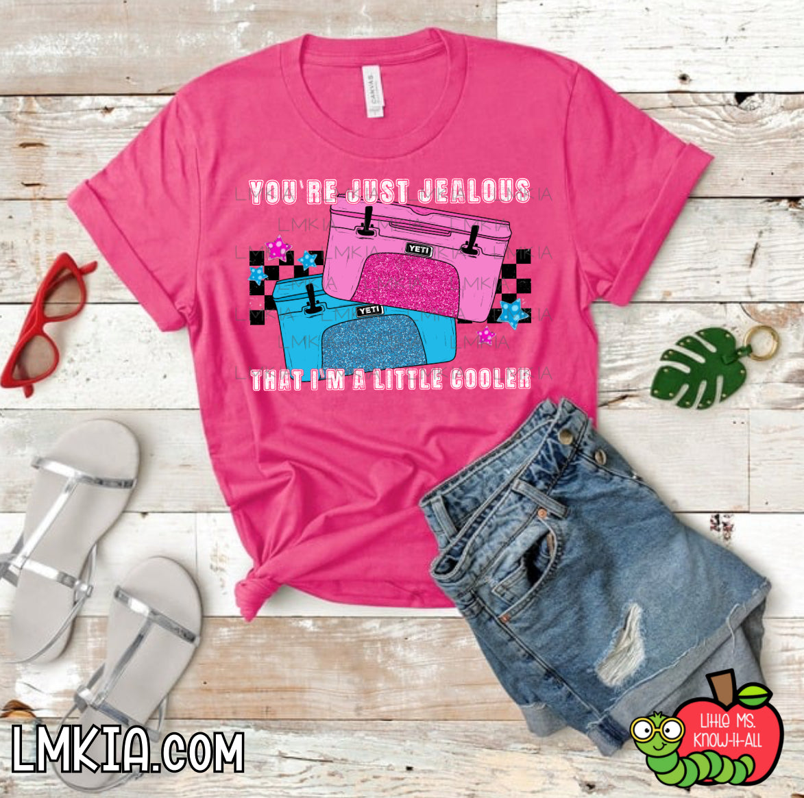 I'm Just A Little Cooler T-Shirt
