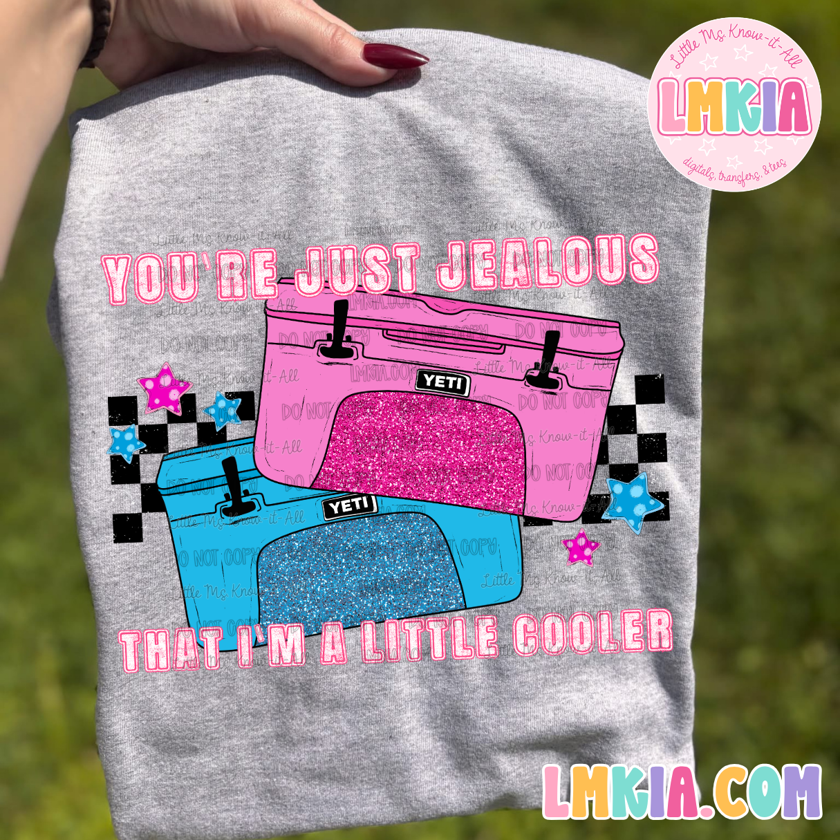 I'm Just A Little Cooler T-Shirt