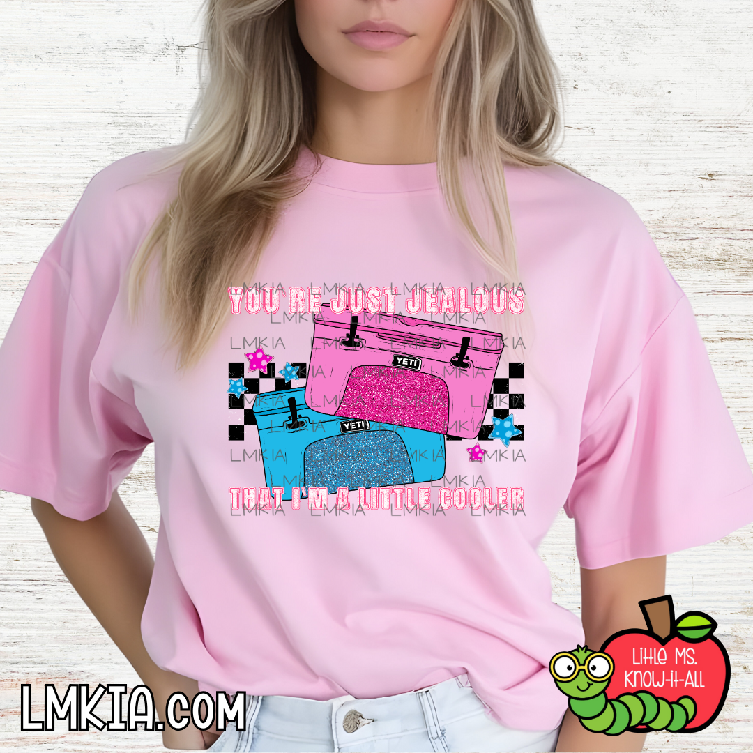I'm Just A Little Cooler T-Shirt