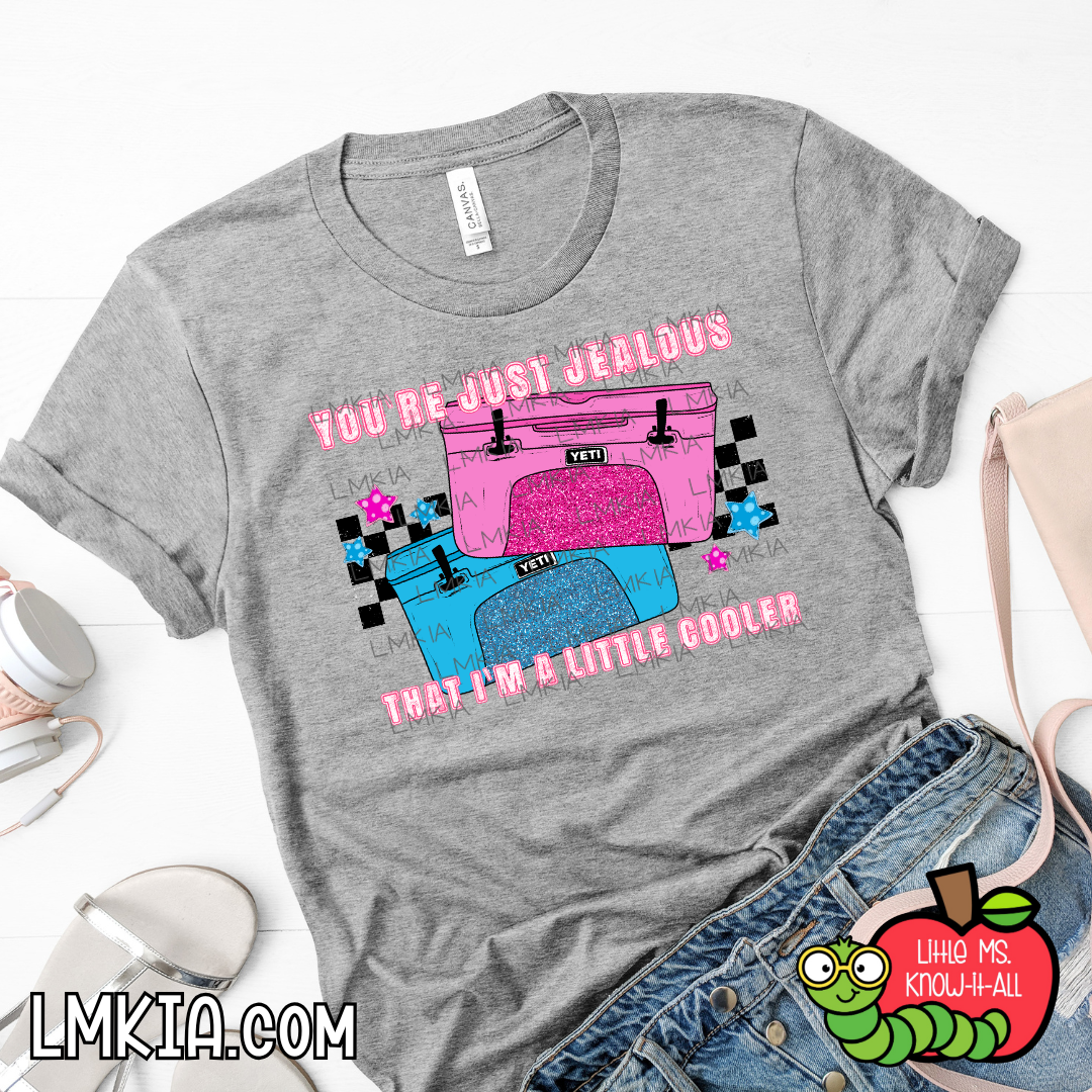 I'm Just A Little Cooler T-Shirt